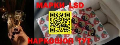 прущие грибы Чебоксары